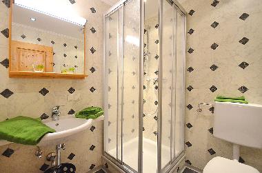 Ferienwohnung in Flachau (Pinzgau-Pongau) oder Ferienwohnung oder Ferienhaus