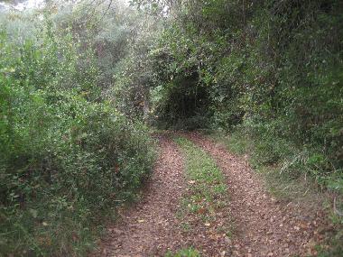 Ferienhaus in Paltsi (Magnisia) oder Ferienwohnung oder Ferienhaus