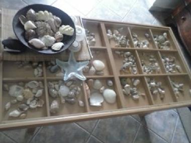 Pension in  ΝΕΑ STIRA EVOIAS (Evvoia) oder Ferienwohnung oder Ferienhaus