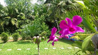 Hotel in Bentota (Galle) oder Ferienwohnung oder Ferienhaus