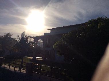 sp�ter nachmittag im garten