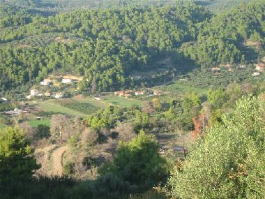 Blick von Akropolis "Achaia Sami" zum Orange Garden