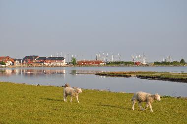 Lemkenhafen