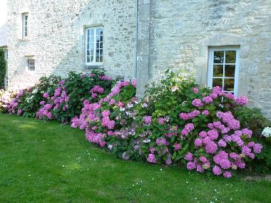 Ferienhaus in valognes (Manche) oder Ferienwohnung oder Ferienhaus