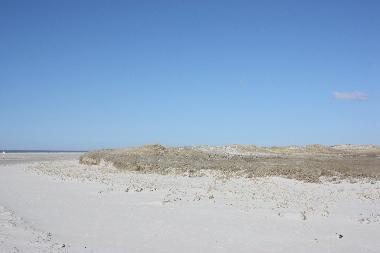Ferienhaus in Wesselburenerkoog (Nordsee-Festland) oder Ferienwohnung oder Ferienhaus