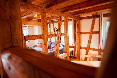 Ferienhaus in Seewald-Schernbach (Schwarzwald) oder Ferienwohnung oder Ferienhaus