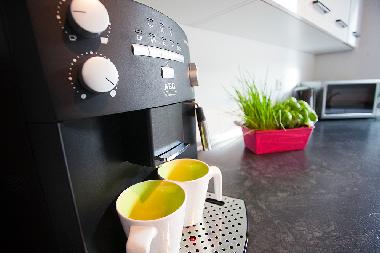 Ferienhaus in Alpirsbach (Schwarzwald) oder Ferienwohnung oder Ferienhaus