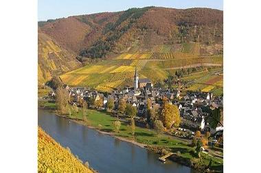 Ferienhaus in Bruttig-Fankel (Mosel - Saar) oder Ferienwohnung oder Ferienhaus