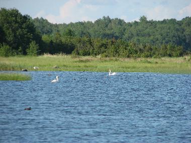 Ferienhaus in Rannak�la (Saaremaa) oder Ferienwohnung oder Ferienhaus