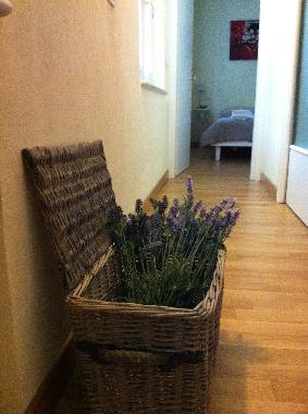 Ferienwohnung in lucca centro storico (Lucca) oder Ferienwohnung oder Ferienhaus