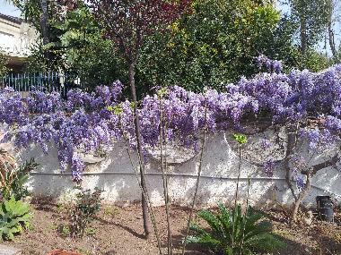 Ferienhaus in Gela (Caltanissetta) oder Ferienwohnung oder Ferienhaus