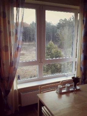 Ferienwohnung in Druskininkai (Alytaus Apskritis) oder Ferienwohnung oder Ferienhaus
