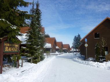 Die gespurte Loipe ist 200 m entfernt