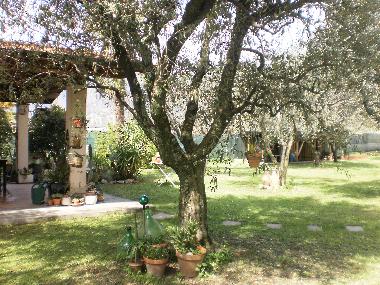 Ferienhaus in  Pozzi di Seravezza (Lucca) oder Ferienwohnung oder Ferienhaus