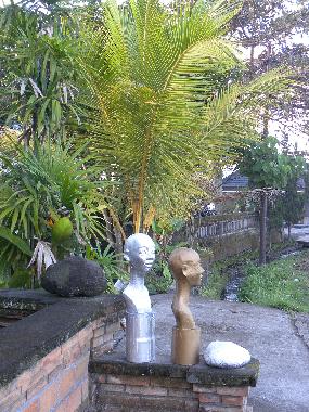 Die Einfahrt des Hauses