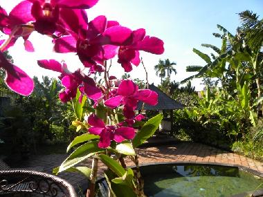 Ferienhaus in Bali-Ubud (Bali) oder Ferienwohnung oder Ferienhaus