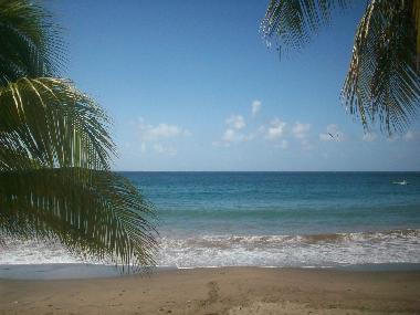 Ferienhaus in les anses d'arlet (Martinique) oder Ferienwohnung oder Ferienhaus
