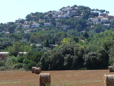 Anhhe von Mas Tomasi