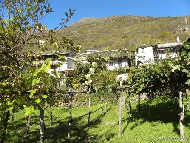 Ferienhaus in Colloro (Verbano-Cusio-Ossola) oder Ferienwohnung oder Ferienhaus