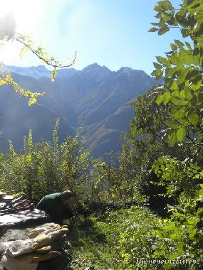Ferienhaus in Colloro (Verbano-Cusio-Ossola) oder Ferienwohnung oder Ferienhaus