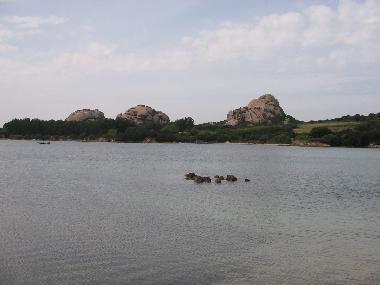 Ferienhaus in Baia Sardinia (Olbia-Tempio) oder Ferienwohnung oder Ferienhaus