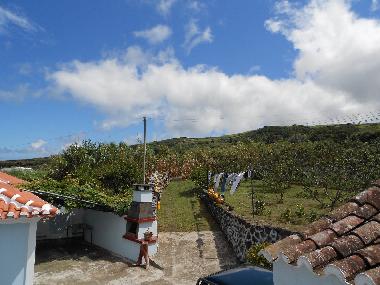 Ferienhaus in Quatro Ribeiras, Praia da Vit�ria (Azoren) oder Ferienwohnung oder Ferienhaus