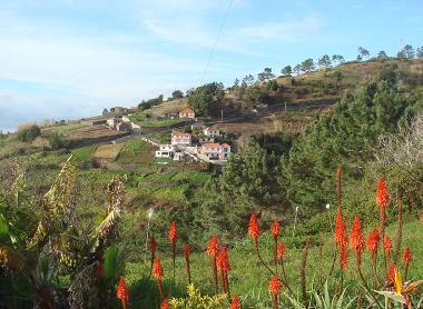 Ferienhaus in Faj� da Ovelha (Madeira) oder Ferienwohnung oder Ferienhaus