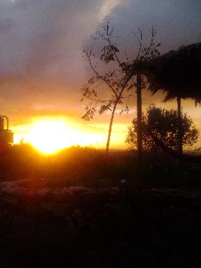 Ferienhaus in Zichron Ya