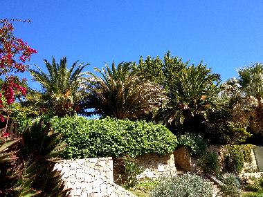 Ferienhaus in Malveira da Serra (Grande Lisboa) oder Ferienwohnung oder Ferienhaus