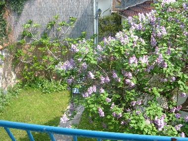 Pension in MALAKOFF (Paris) oder Ferienwohnung oder Ferienhaus