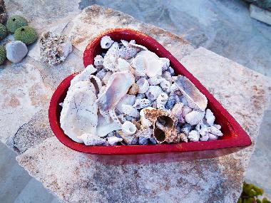 Ferienwohnung in Orebic (Dubrovacko-Neretvanska) oder Ferienwohnung oder Ferienhaus