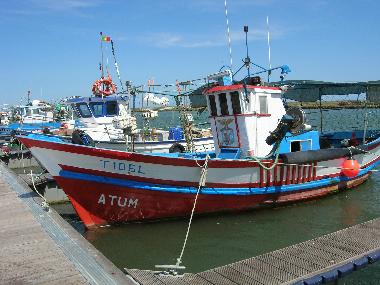 Ferienwohnung in moncarapacho (Algarve) oder Ferienwohnung oder Ferienhaus