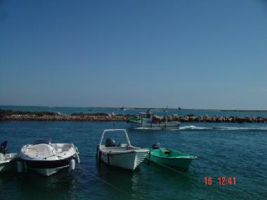 Ferienwohnung in moncarapacho (Algarve) oder Ferienwohnung oder Ferienhaus