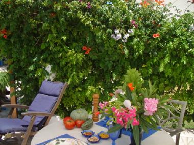 Ferienwohnung in moncarapacho (Algarve) oder Ferienwohnung oder Ferienhaus