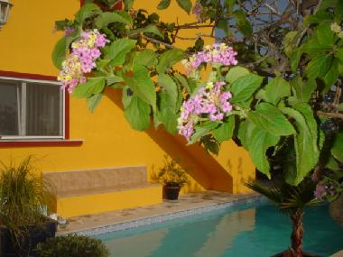 Ferienwohnung in moncarapacho (Algarve) oder Ferienwohnung oder Ferienhaus