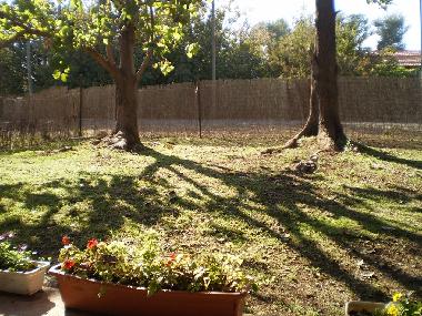 Ferienwohnung in Yesod Hama`ala (HaZafon (Northern)) oder Ferienwohnung oder Ferienhaus