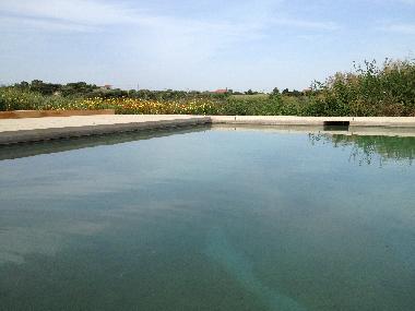 Pension in Manique do Intendente (Grande Lisboa) oder Ferienwohnung oder Ferienhaus