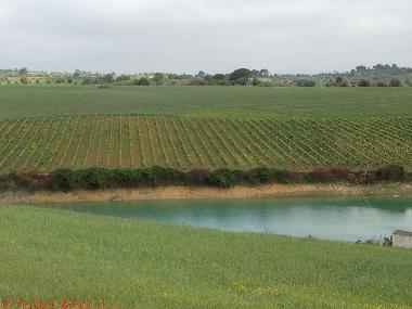 Pension in Manique do Intendente (Grande Lisboa) oder Ferienwohnung oder Ferienhaus