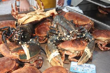 Ferienhaus in Plourin (Finist�re) oder Ferienwohnung oder Ferienhaus