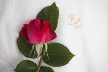 Ferienhaus in Duce (Splitsko-Dalmatinska) oder Ferienwohnung oder Ferienhaus