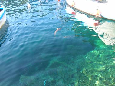 Villa in Pisciotta (Salerno) oder Ferienwohnung oder Ferienhaus