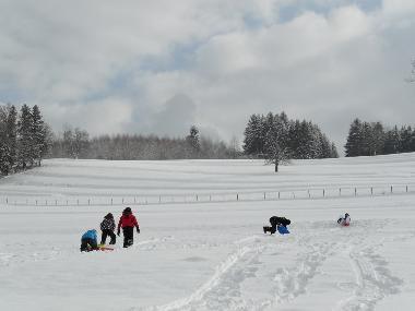 Villa in 88520 (Vosges) oder Ferienwohnung oder Ferienhaus