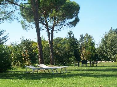 Ferienhaus in faenza (Ravenna) oder Ferienwohnung oder Ferienhaus