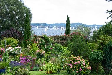 Ferienwohnung in Reichenau (Bodensee) oder Ferienwohnung oder Ferienhaus