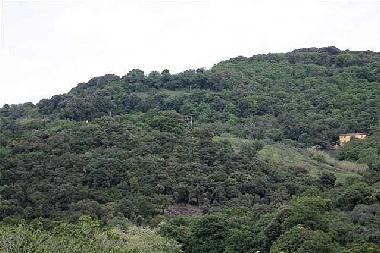 Ferienhaus in San Martino di Roccastrada (Grosseto) oder Ferienwohnung oder Ferienhaus