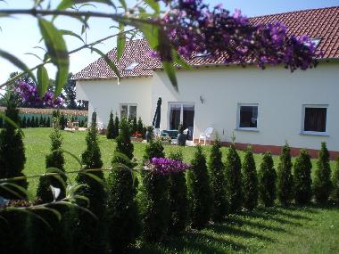 Ferienwohnung in Harthausen (Pfalz) oder Ferienwohnung oder Ferienhaus