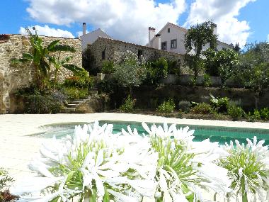 Ferienwohnung in Caneiro - Ma��s de Dona Maria (Pinhal Litoral) oder Ferienwohnung oder Ferienhaus