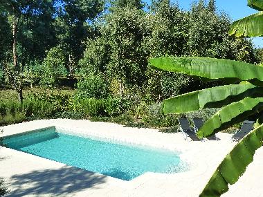 Ferienwohnung in Caneiro - Ma��s de Dona Maria (Pinhal Litoral) oder Ferienwohnung oder Ferienhaus