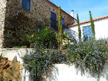 Ferienwohnung in Caneiro - Ma��s de Dona Maria (Pinhal Litoral) oder Ferienwohnung oder Ferienhaus