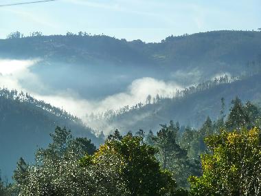 Ferienwohnung in Caneiro - Ma��s de Dona Maria (Pinhal Litoral) oder Ferienwohnung oder Ferienhaus